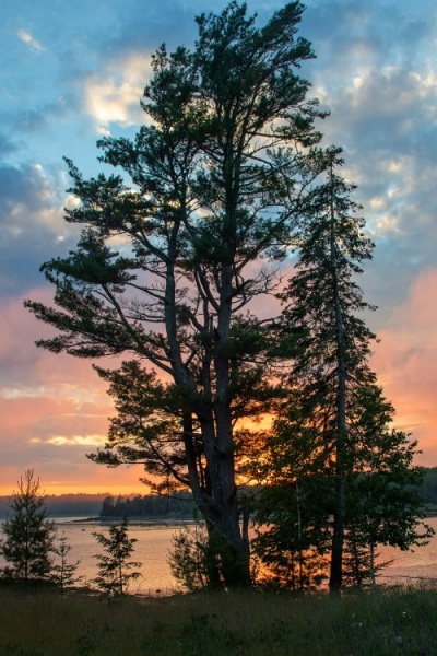 Silhouettes on the Maine Coast
