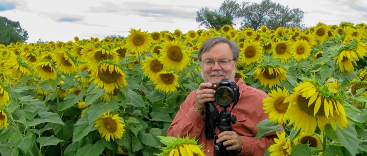 Greg-Sunflowers-cropped