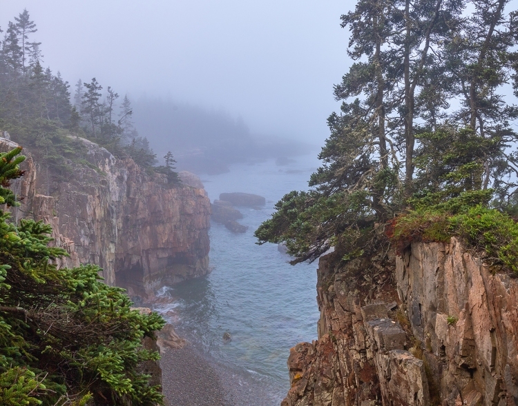 Foggy Morning in Acadia National Park  - Maine