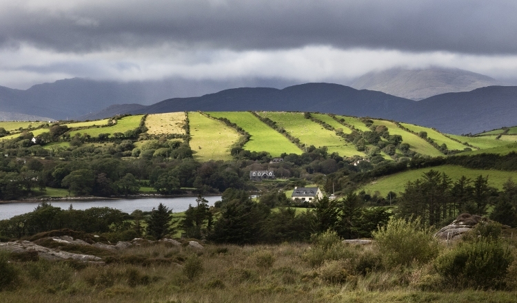 Irish Countryside