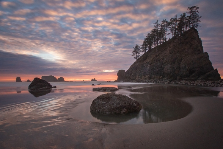 Second Beach Sea Stacks - Washington