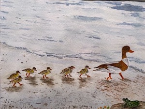 Duck Walk