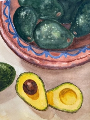 Fresh Avacados