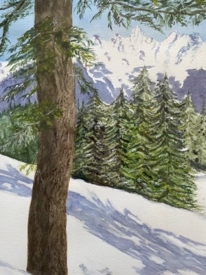 Mountain Pines