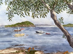 Sheltered Cove