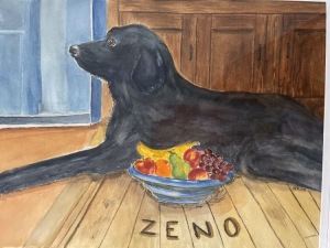 Zeno-Large