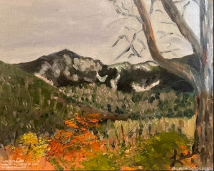 Winter Is Coming: Little Haystack (Franconia Notch State Park, NH), 9 x 12 inches, oil on birch panel, en plein air