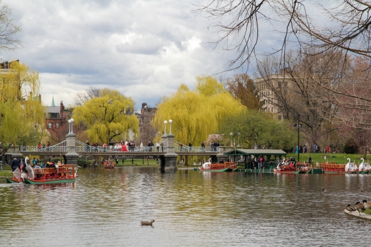 Boston Public Garden Foot Bridge