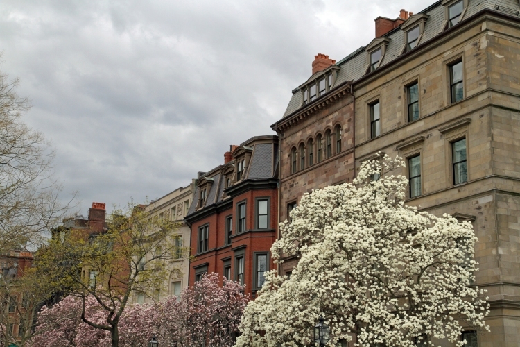 Commonwealth Avenue, Boston, MA