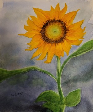 Sunflower by Pam Krinsky