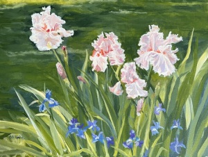 Em‘s Remarkable Pink Irises by Ruth Clark