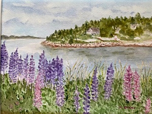 Nova Scotia Lupines, Watercolor by Hedy Sanni