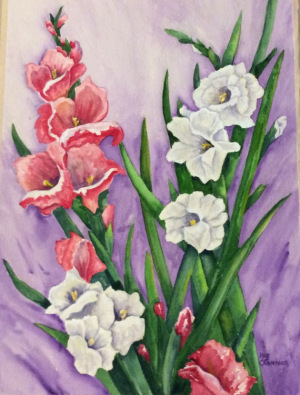 GLADIOLUS