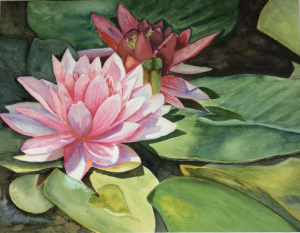 WATER LILIES